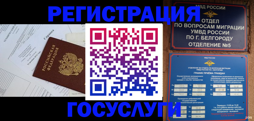 временная прописка в Лыткарино